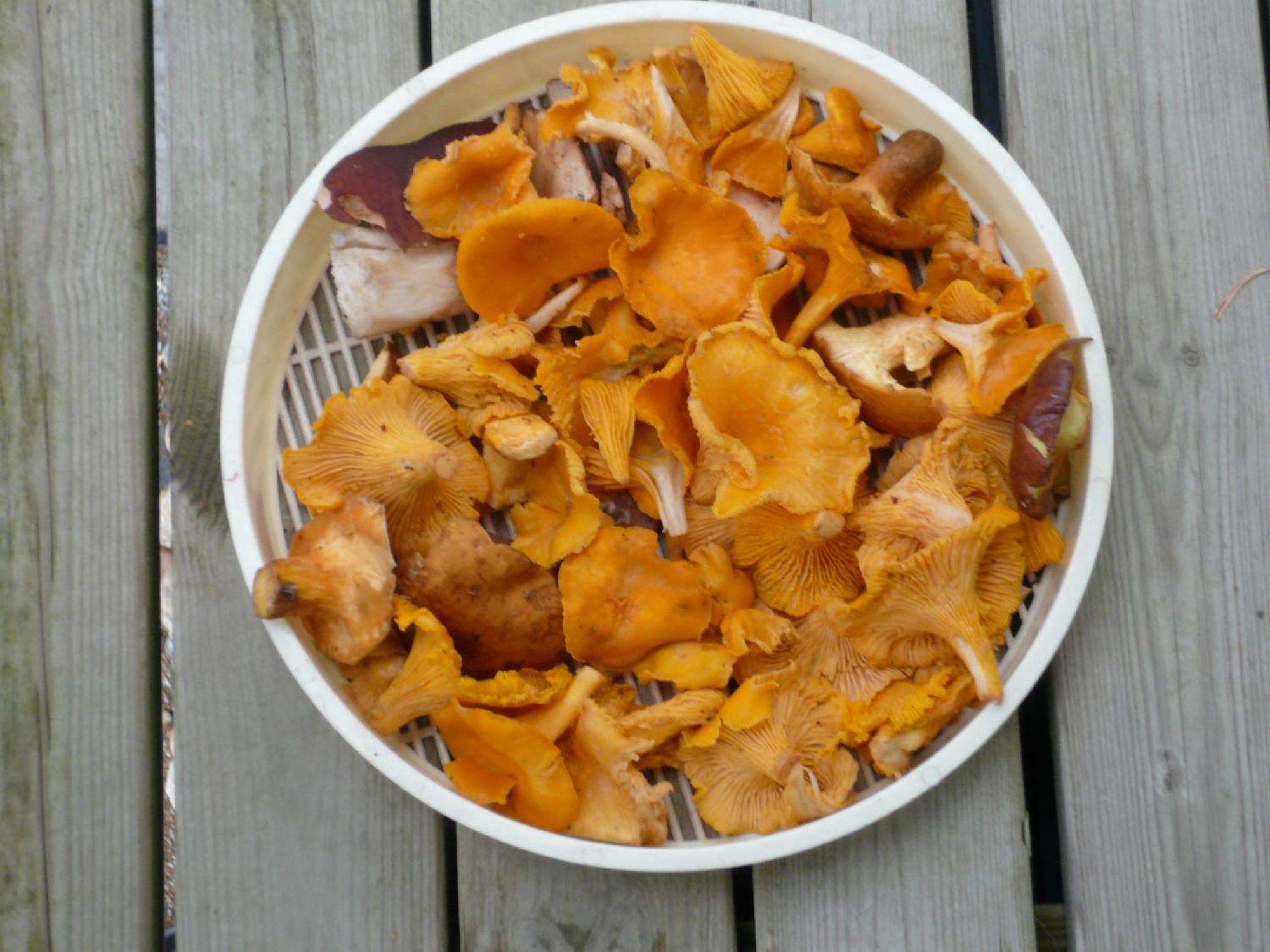 Cottage Kivitatti Sysmä 外观 照片